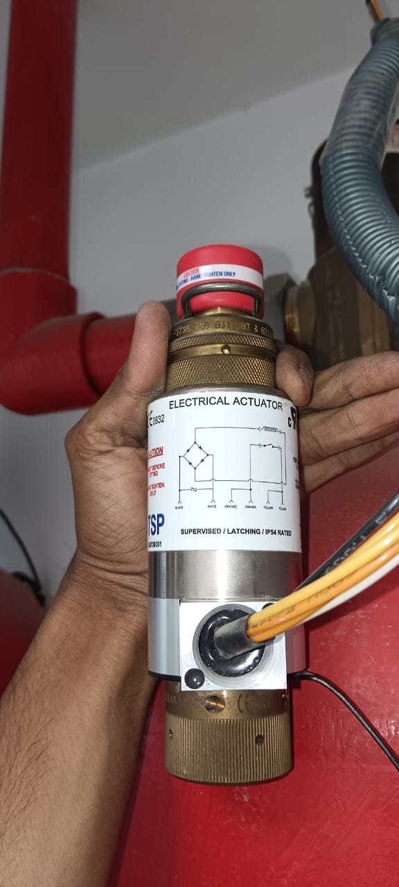 Electrical Actuator