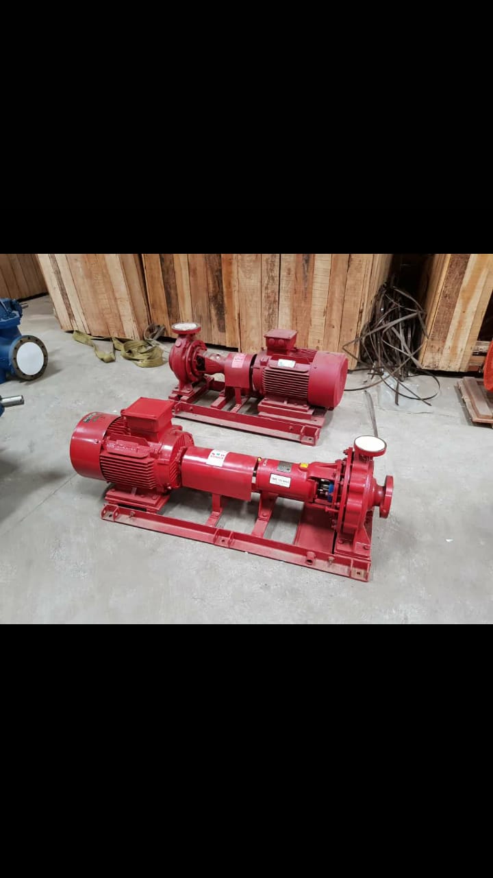 Motor with pump