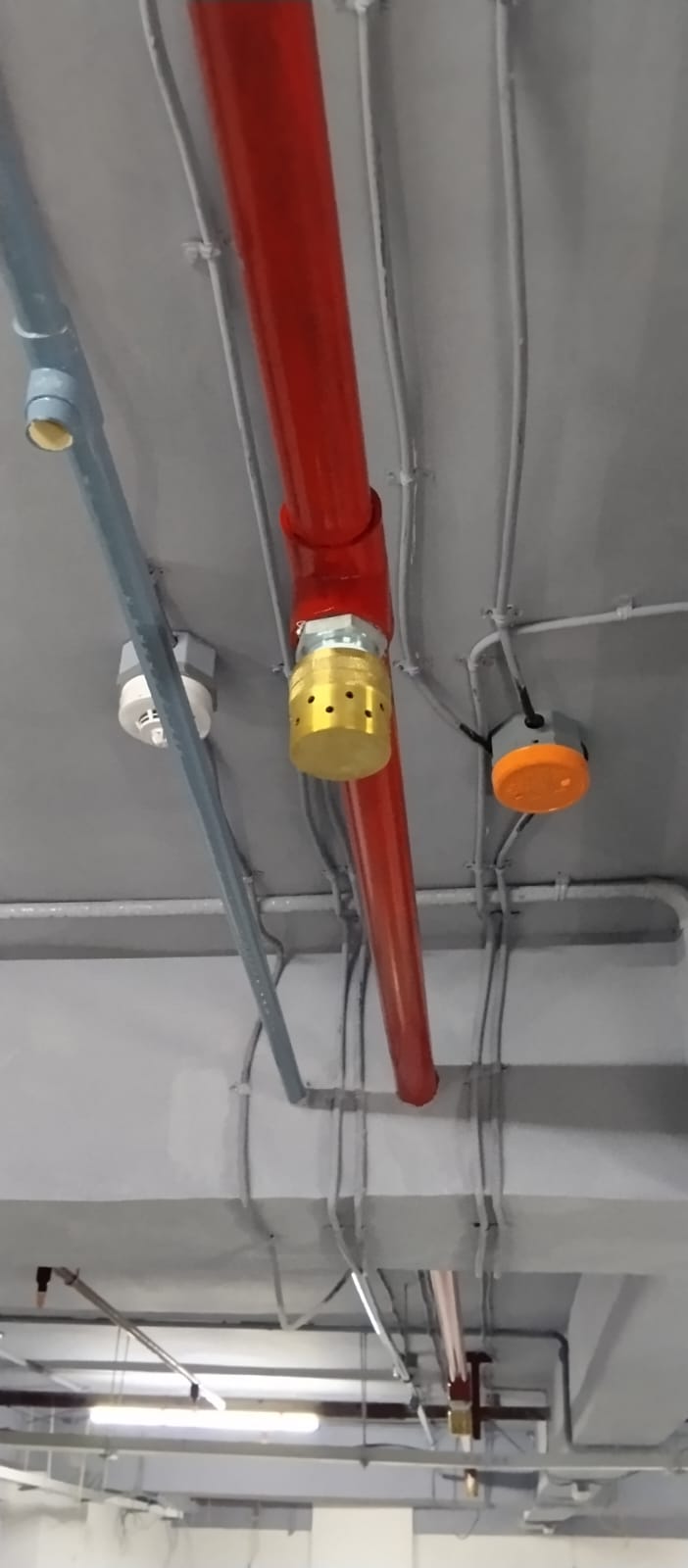 Water sprinkler valve
