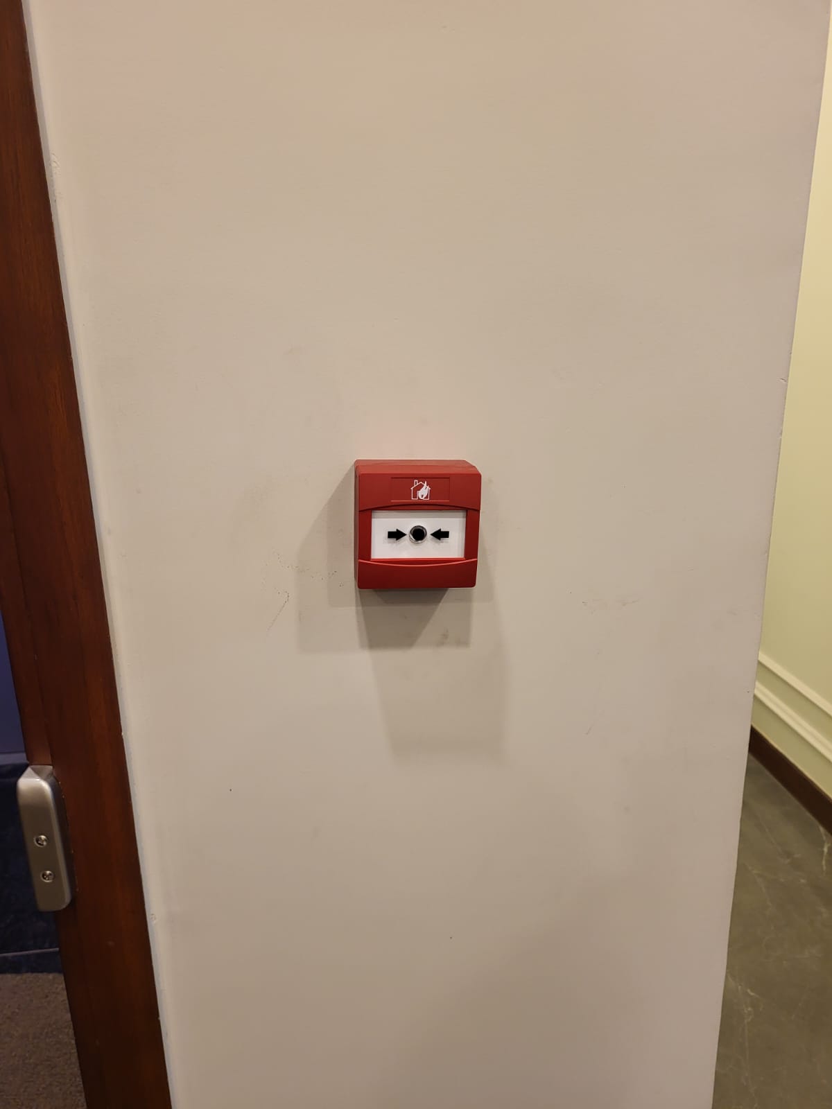 Fire alarm reset switch